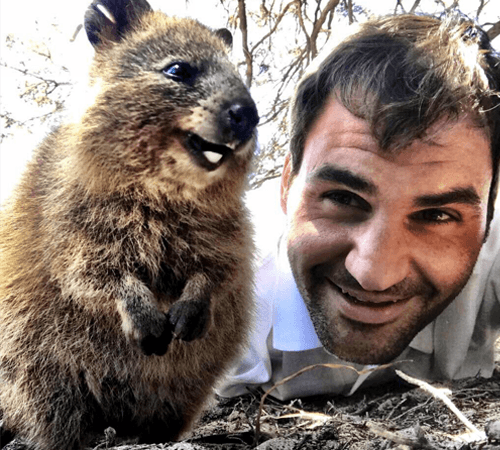 Roger Federer's selfie with a Quokka